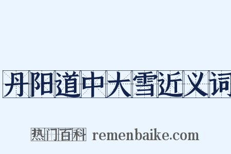 丹阳道中大雪近义词是什么意思的图片